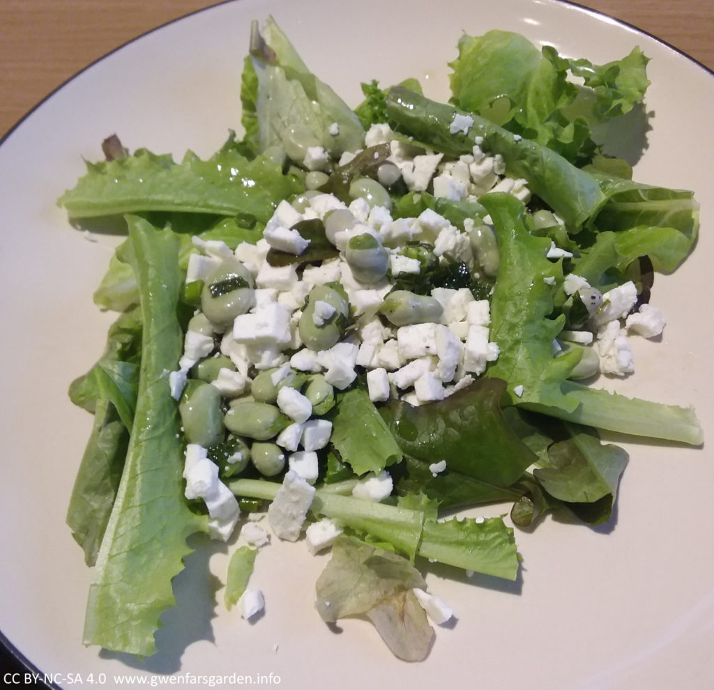 A cream coloured plate, with salad as a base, and the Broad beans and Feta etc, sitting on top.