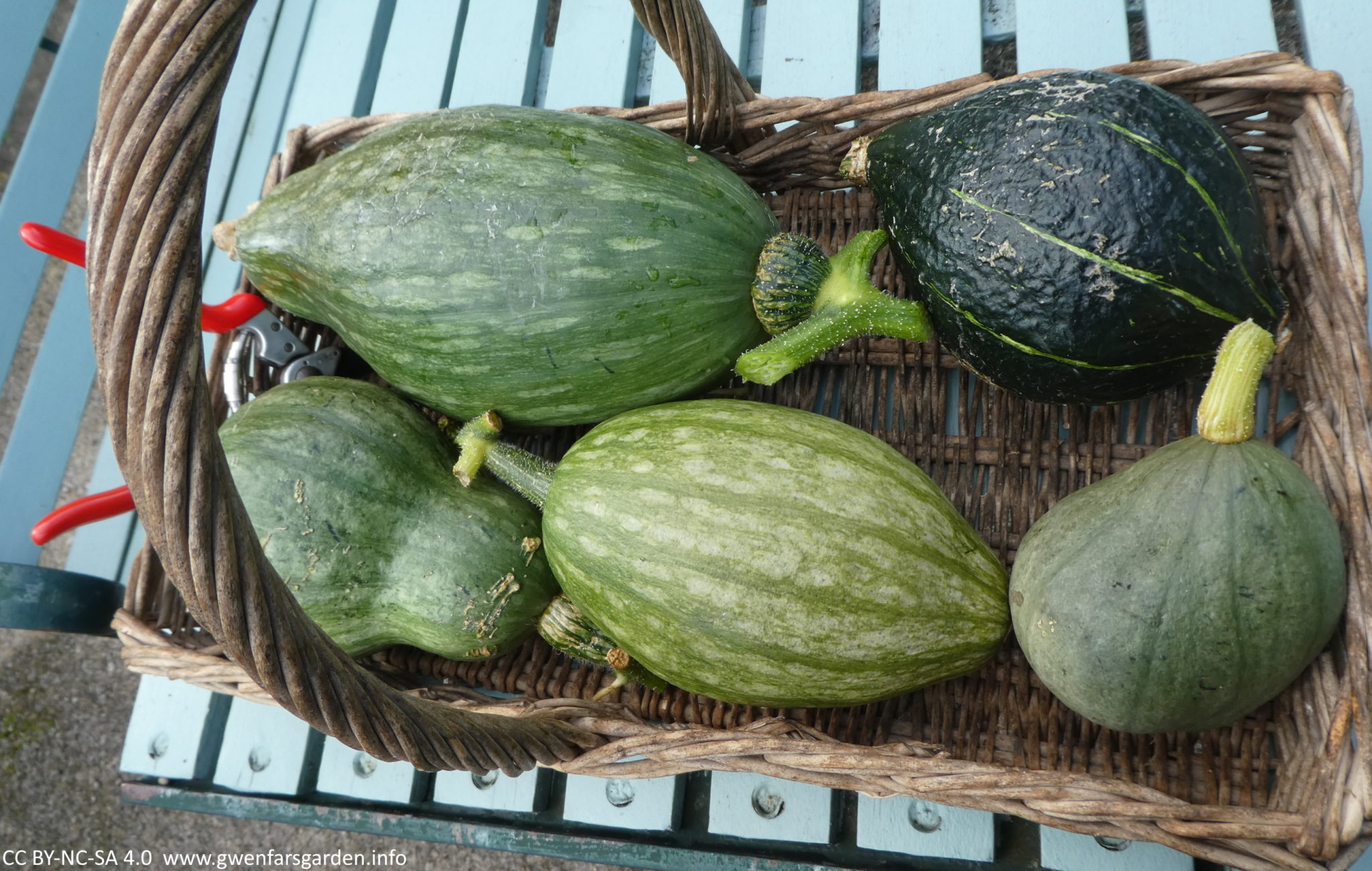 A large hand woven basket filled with 5 different pumpkins, of different sizes.