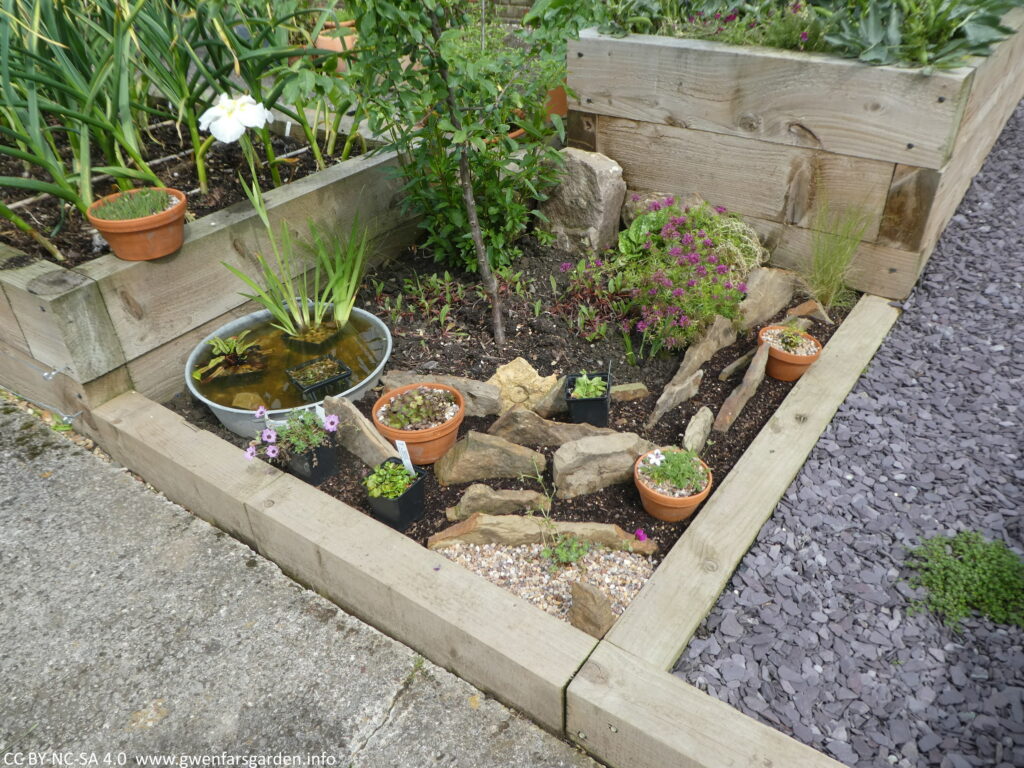 June 2020: the planting has started. In the bottom middle you can see a small section of horticultural grit with a green plant in it, and a taller rectangular stone in the corner for maneuvering the hosepipe. There are some plants in pots waiting to be planted out into the bed.