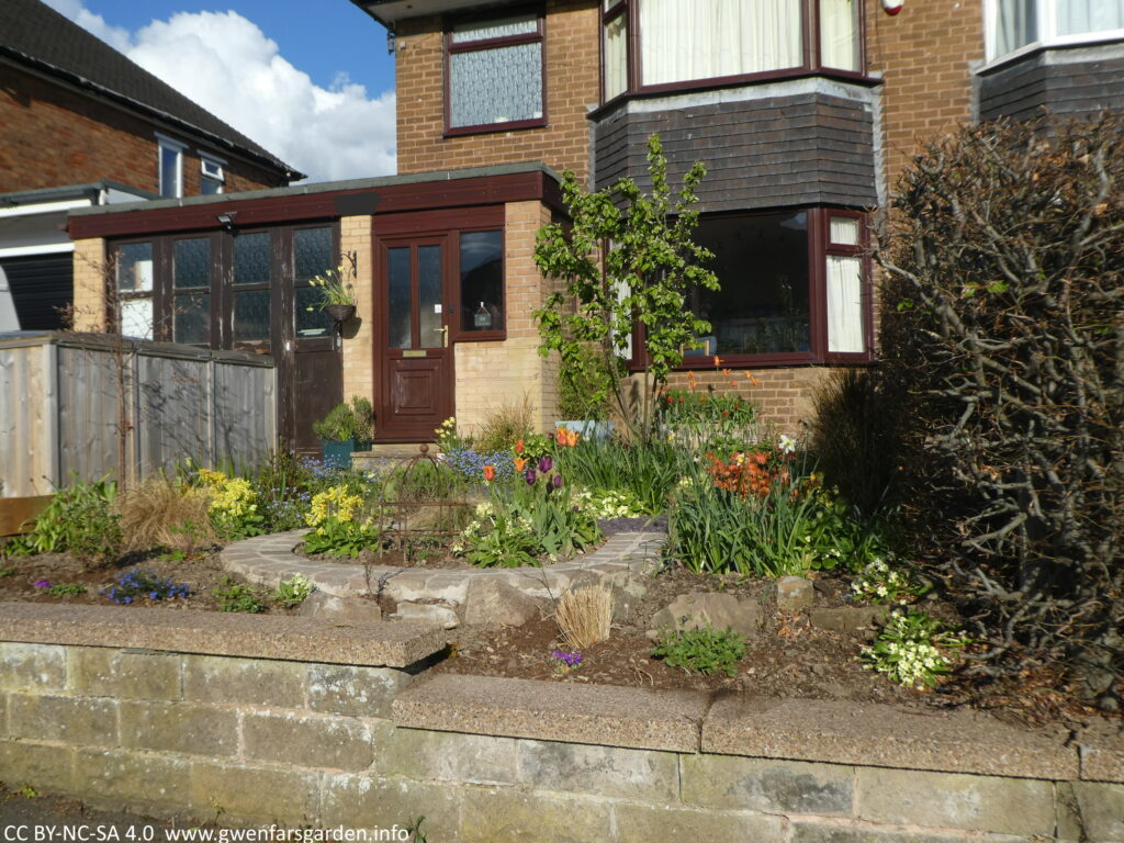 Looking at the front garden from the street, this time the hedge has been removed. The part of the garden next to the street looks a bit bare as the new plants haven't grown much yet, and it definitely needs more Spring bulbs. This time next year it will look fab.