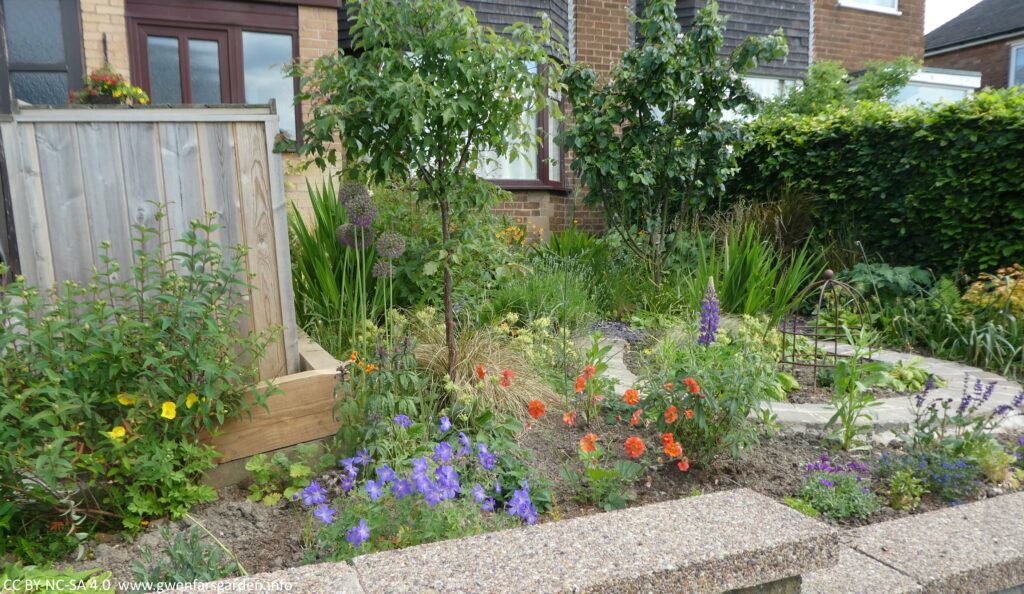 View from the left side of the footpath. To the left is the wooden bin store, then you see a couple of young trees and lots of plants, though most are still young as they were only recently planted. It is bordered by a green beech hedge.