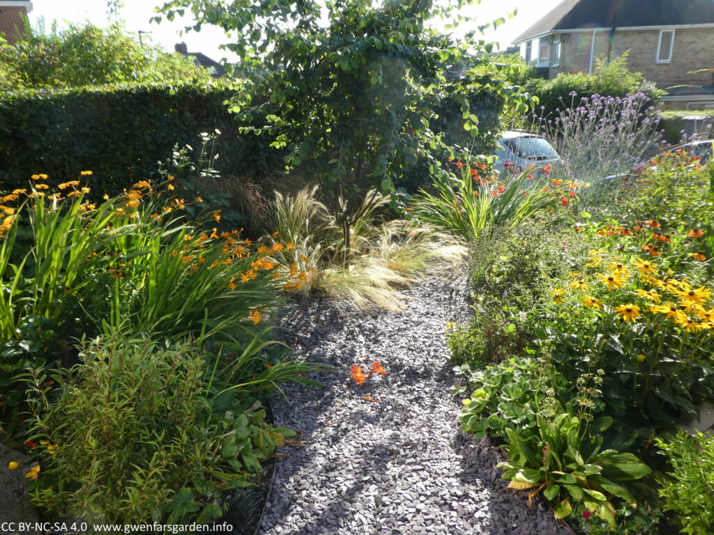 An overview of the front garden from the from of the house looking towards the street. In the middle is a quince tree with a path around it. On both sides of the path are a mix of flowering plants and evergreen shrubs.