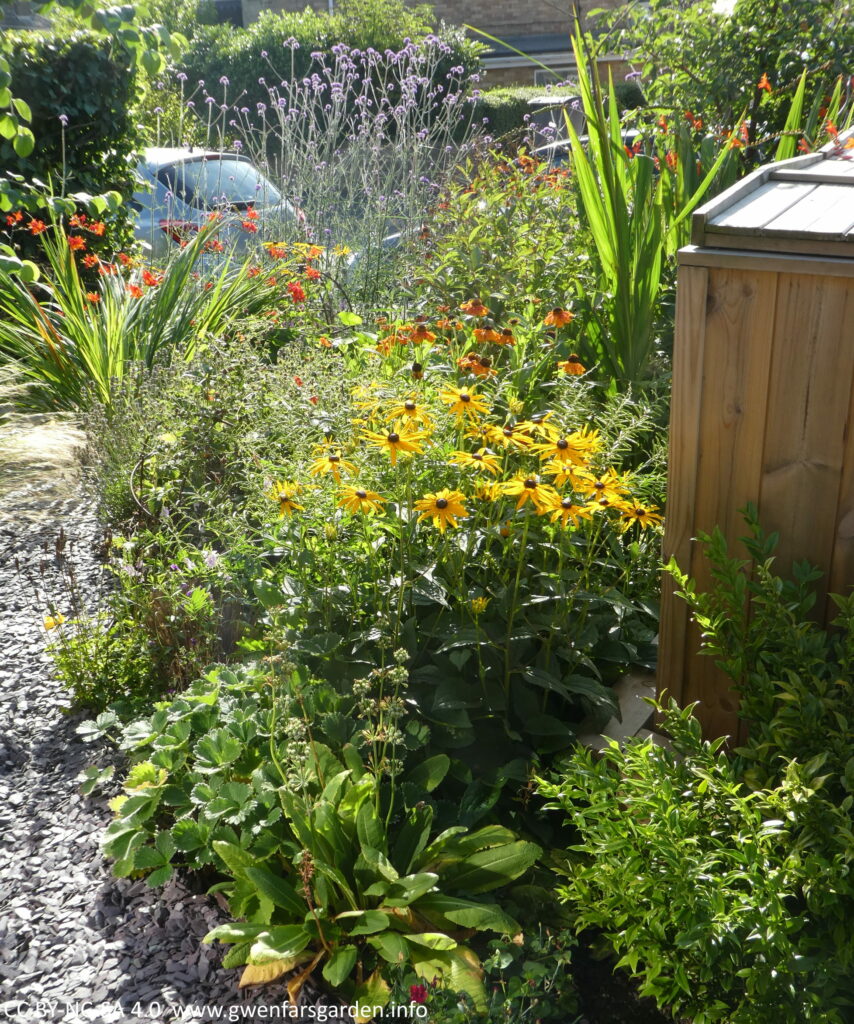 A section of the front garden looking from the house towards the road. It's filled with plants of different colours including yellow, red, orange and purple.