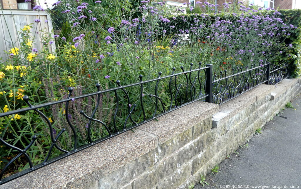 This is just looking at the railings a bit closer and at an angle. You can see lots of plants behind them, including a mesh of tall purple Verbena bonariensis. 