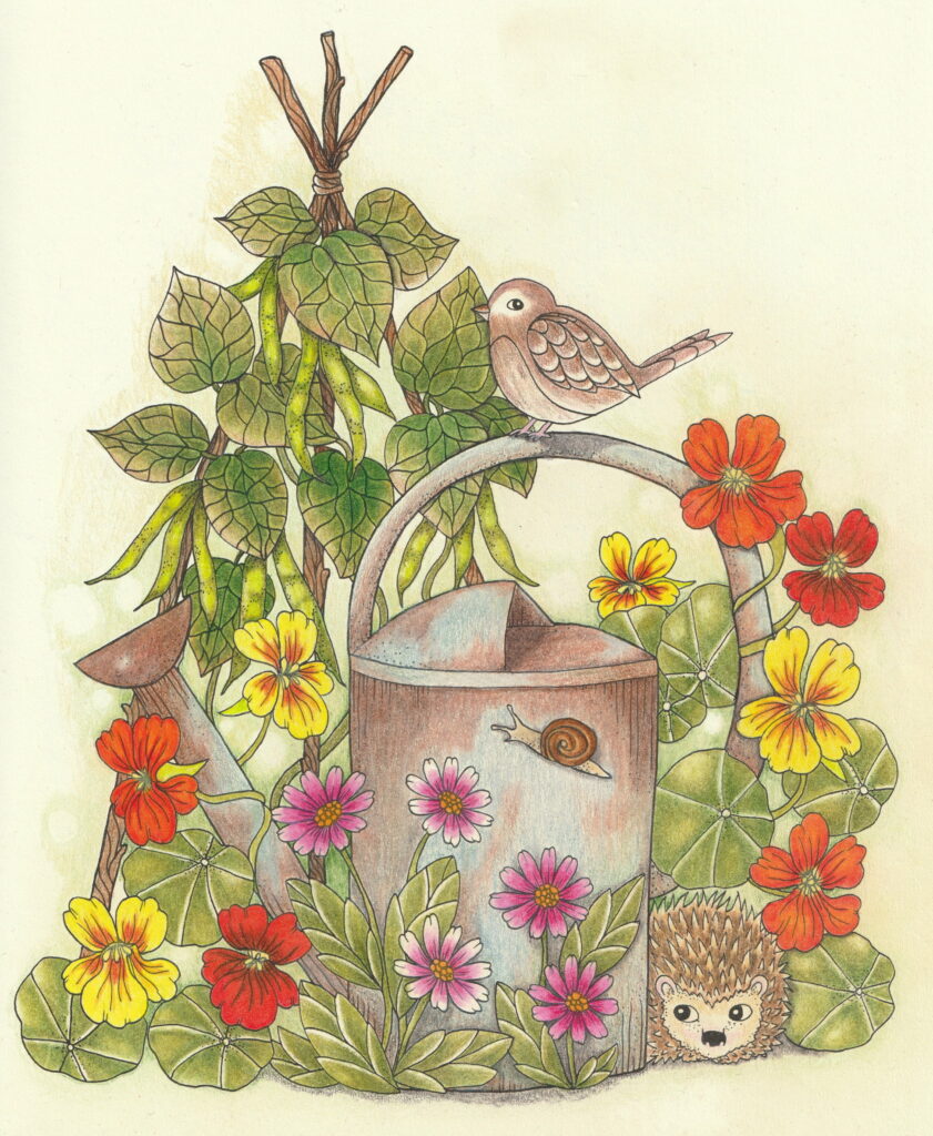 A page from an adult colouring book. It shows a silver-blue watering can that is part-rusted orange, and on the side of the can there is a snail crossing it. On top of the handle is a small brown kind of bird, and a hedgehog down to the bottom right of the can. There are flowers in yellows, oranges, reds and pinks, and green shaded leaves. There is also a triad cane support with french bean plants growing up it and some actual beans fruiting.