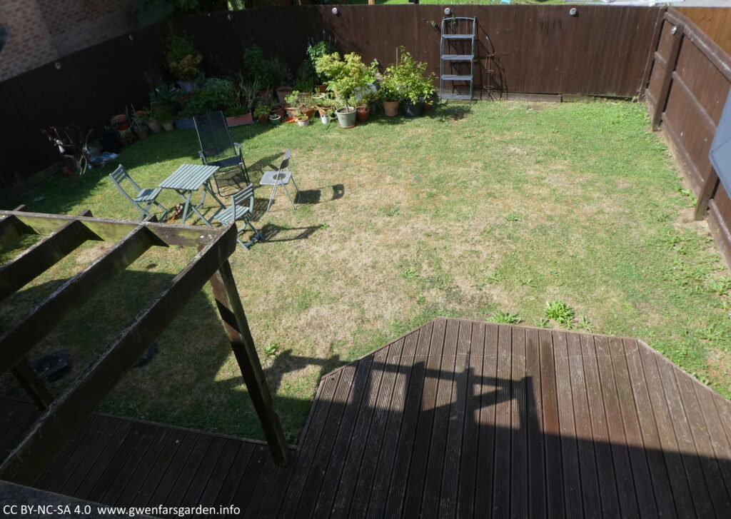 The back garden from a first floor window. It is surrounded by a dark brown fence, and there are lots of plants in pots in the top left corner, sitting on some dried out grass (it is the height of summer).