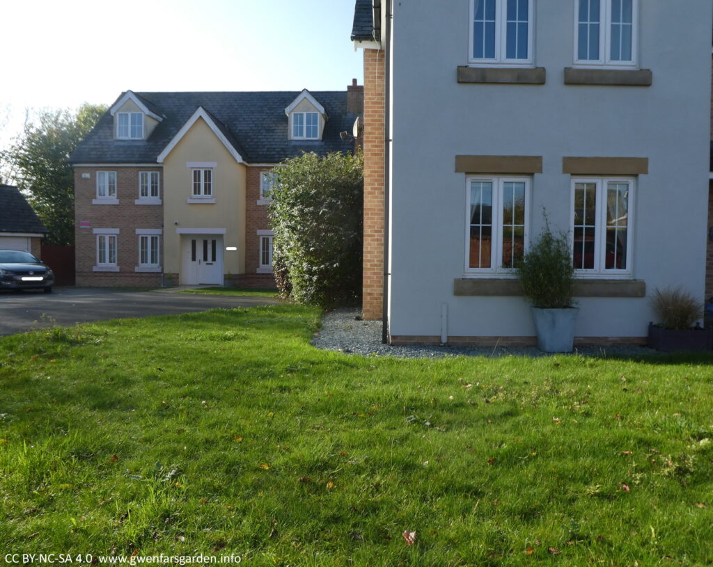 The front of a house is shown and you can see windows from two levels. In front is just grass, with a couple of potted plants next to the house wall. To the right and back is a neighbour's house.