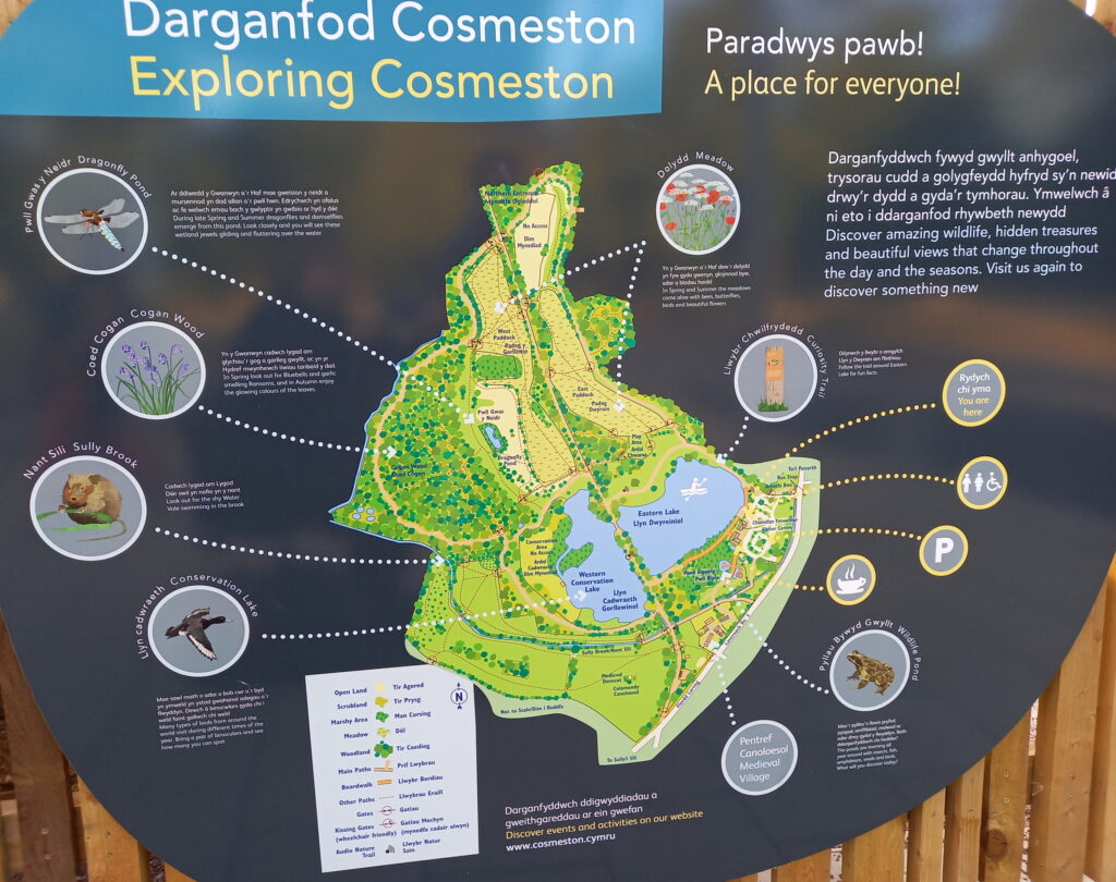 A map of Cosmeston Lakes put up by the council. It points out specific points of interest, including a dragonfly pond, meadows, a bluebell wood, and facilities, including a Changing Places toilet next to the cafe.