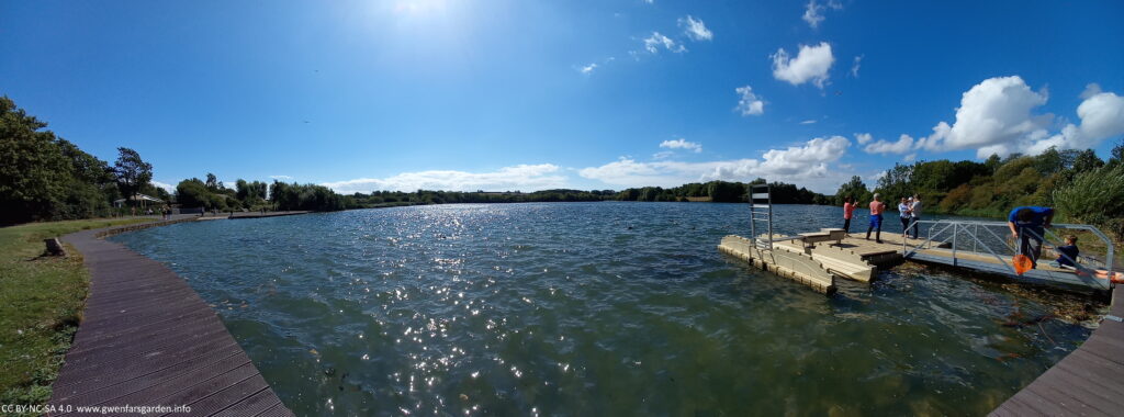 A view of the South lake in mid-August. Blue sky with a few fluffy clouds, the sun shining down and catching ripples on the water. There are boardwalks around the edge of the lake, and trees in full leaf around it. To the right are a few people standing on a pontoon access to the lake.