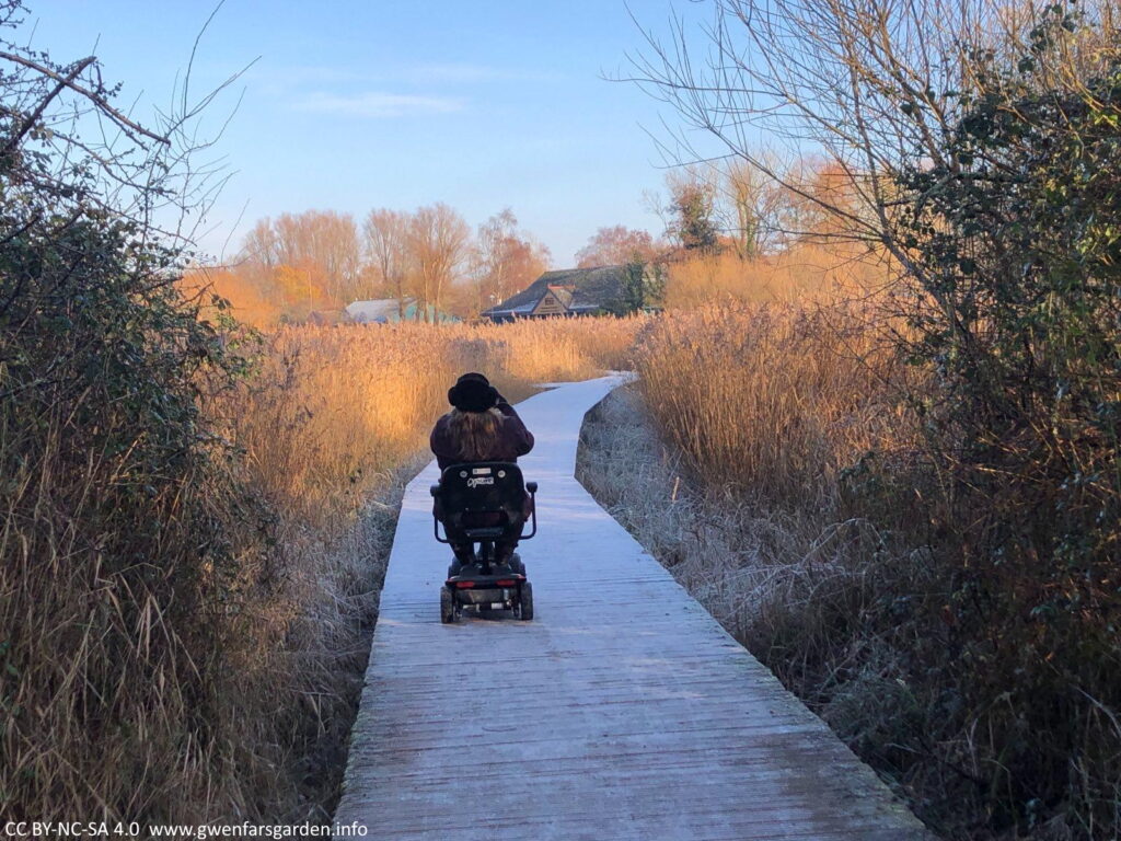 A frosted boardwalk in the middle stretching into the distance. On either side are orange-brown reeds and grasses, and some trees on the right. In the middle distance is a building, which is the lake's cafe. In the middle of the photo, on the boardwalk, is a person in a mobility scooter. You only see them from behind, but you can tell they are also taking a photo of the same view.
