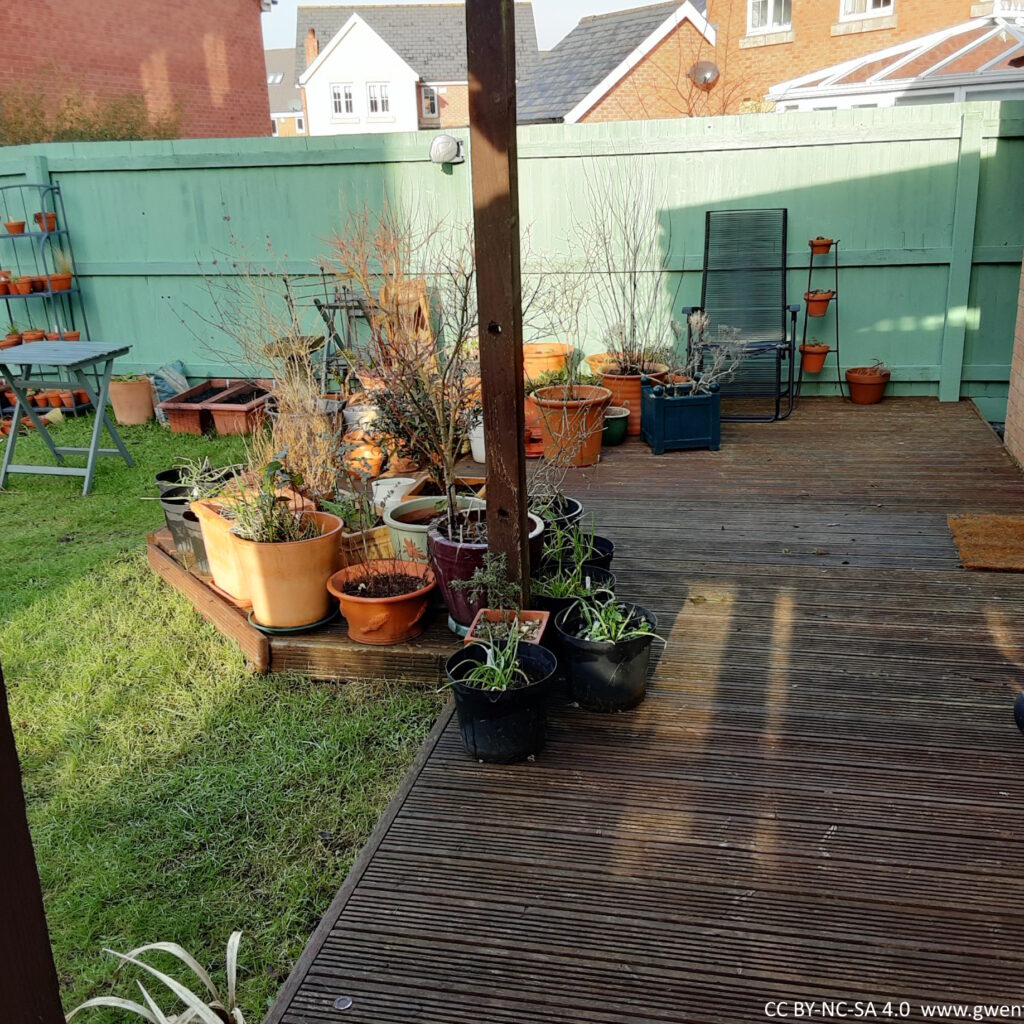 A section of the back garden. There is decking with lots of potted plants on it, then the grass area and some more plants in pots. The sun is shining across the plants on the decking area.
