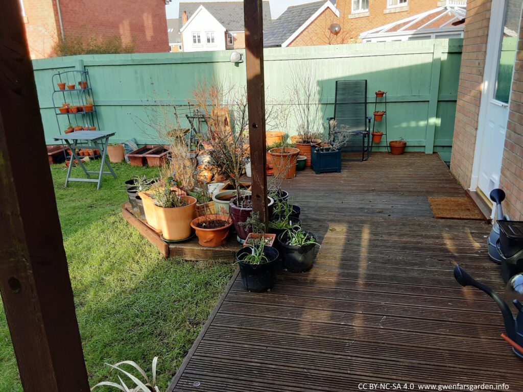 A section of the back garden. There is decking with lots of potted plants on it, then the grass area and some more plants in pots. The sun is shining across the plants on the decking area.