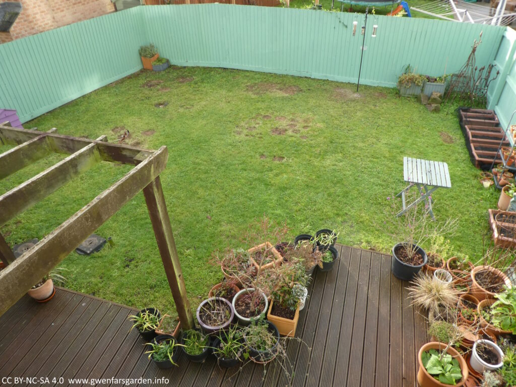 An overview of the back garden from upstairs. Next to the house is some decking with lots of plants. Then it's mostly lawn, a bird feeder and some more potted plants along the right side.