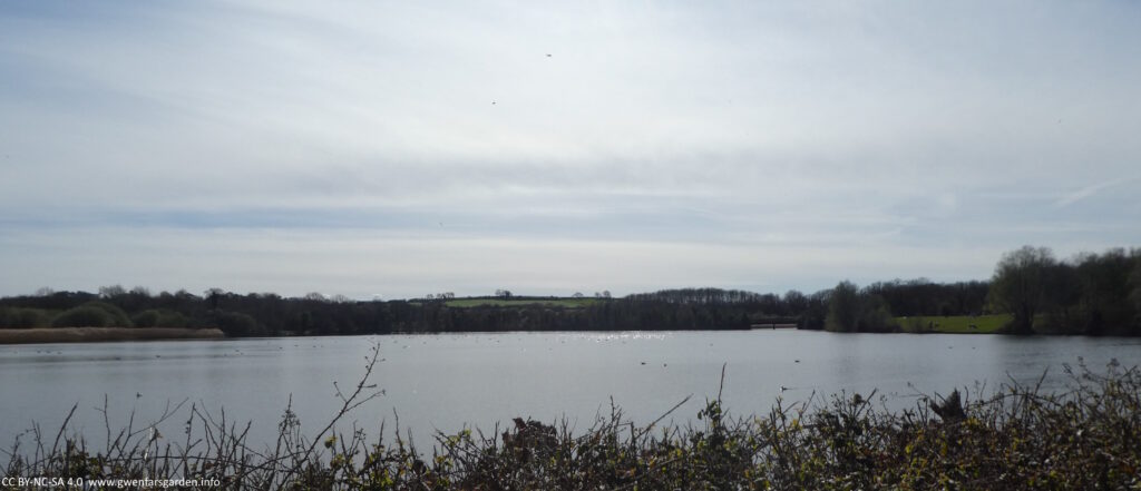 An overview of Eastern Lake. The camera is looking directly towards the sun, so whilst the scene looks a bit dark and the sky cloudy, it's just how the brightness of the sun is reflecting the scene this way. In the middle distance you can see the sun is glistening on the water.