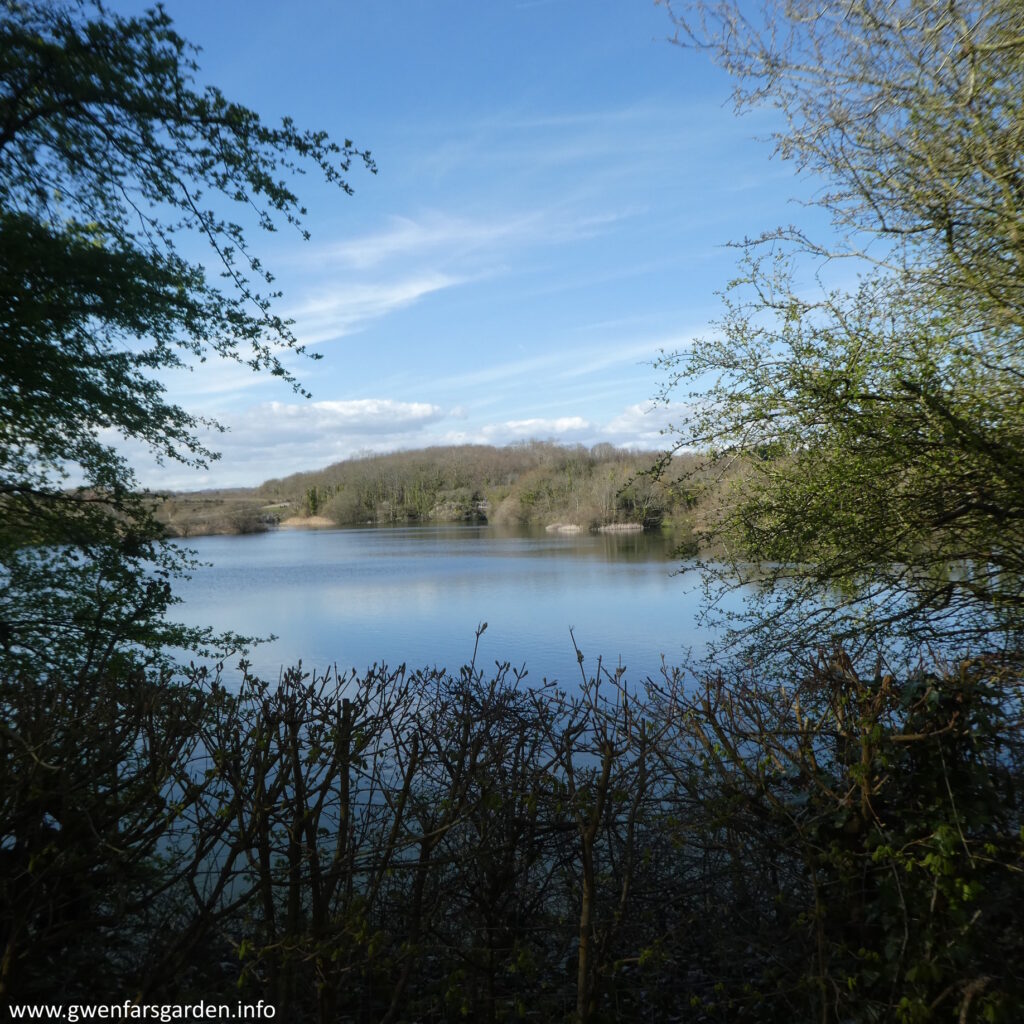 A view of a lake framed by some trees that are just starting to come into leaf, in the forground. In the background is the lake, and behind it are small hills of trees not yet in leaf. The sky is blue with wisps of white cloud. It's like a looking through a window to the lake.