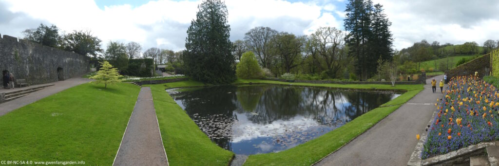 A panoramic view of the Pool Garden, looking down towards the Woodland Garden. There is a big rectangle pool in the middle that in part, reflects the sky and some nearby trees, with tulips and forget-me-nots in a border to the right.