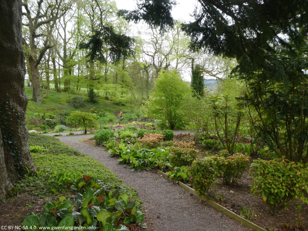 A path through the Woodland Garden and in the distance, part of the bluebell wood.