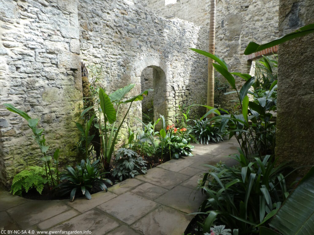 Part of the Ninfarium with lush green growth and some orange flowers.