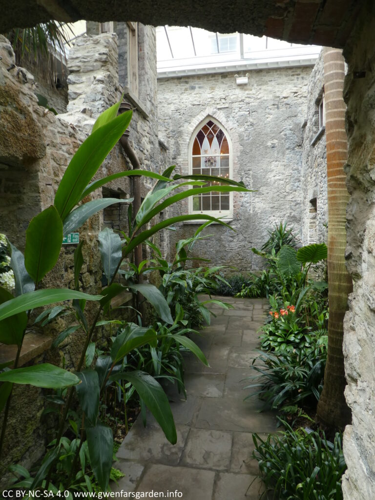 Lush growth in the Ninfarium, with lots of stone work and a stained glass window.