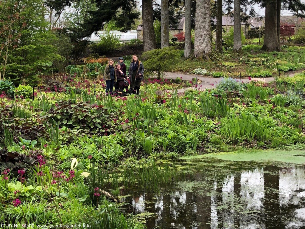 Four people in the Woodland garden which has young lush growth and a pond.
