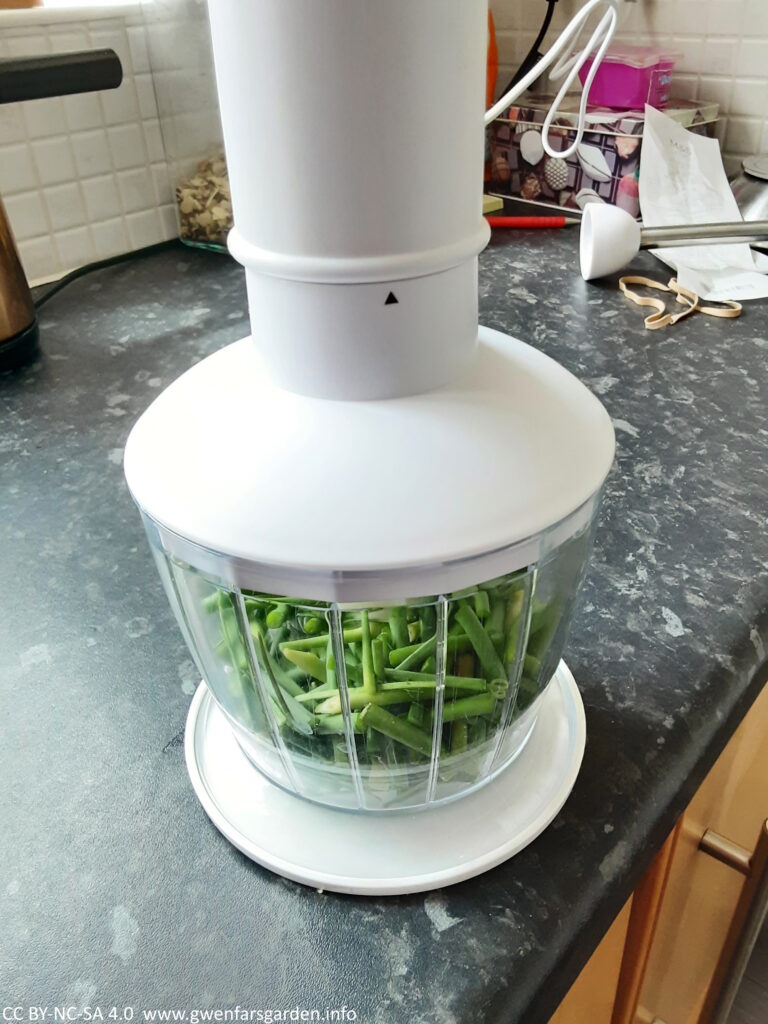 The roughly cut up garlic scapes in the container of a small hand blender. This is before they have been blended.