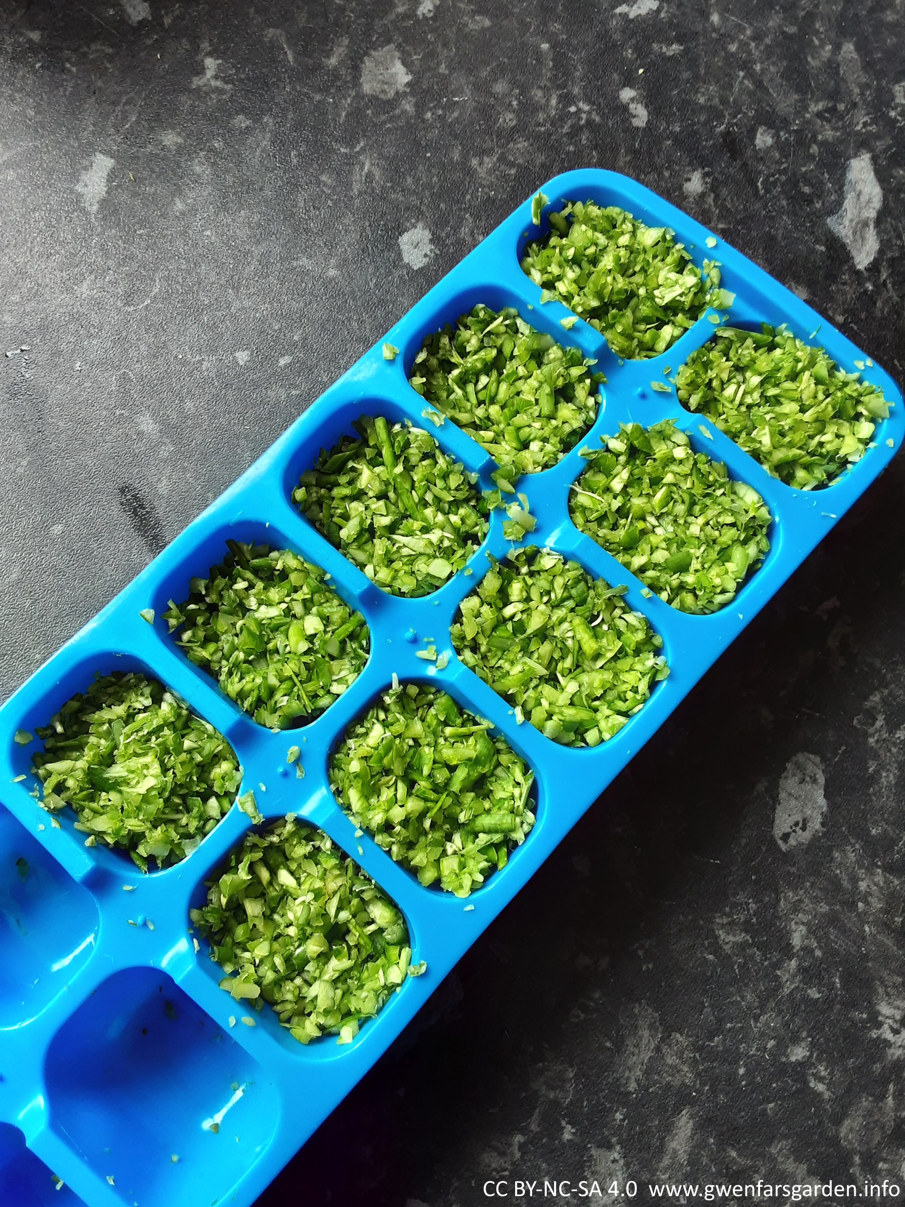 Garlic scapes preserving by freezing Gwenfar's Garden and other musings