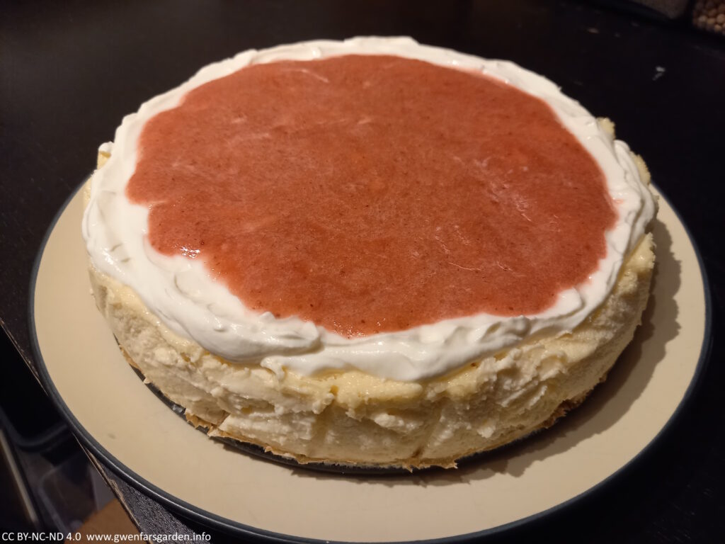 A plate holding a home-made cheesecake with strawberry coulis on top.