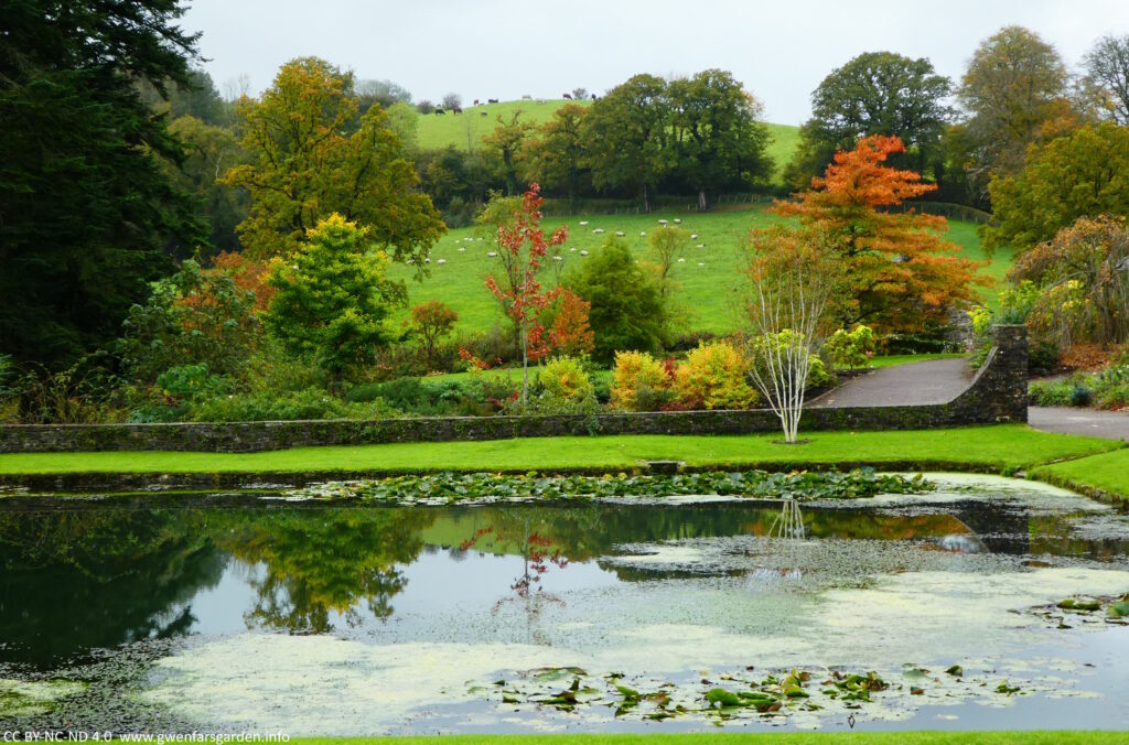 A large pond with lily pads sitting on the surface. Behind are lots of trees changing colours, some really bright oranges and reds. Further back are fields with sheep, and even further, cows on a hill - looking surprisingly large given how far away they are (that's the weird perception thing).