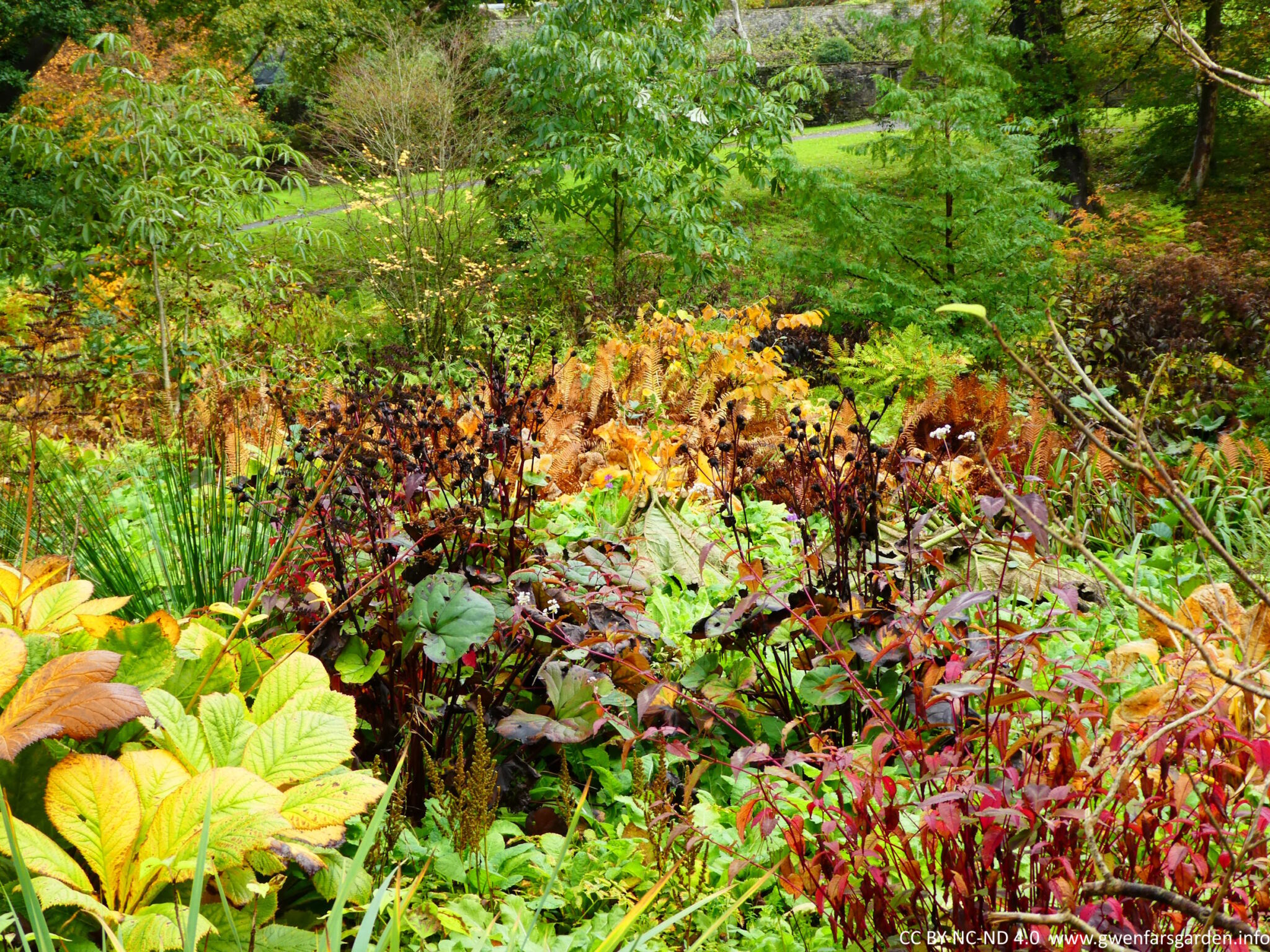A large plant border filled with different plants in different stages of dying back for winter. It mostly in shades of green and orange, and with some black flower stems.