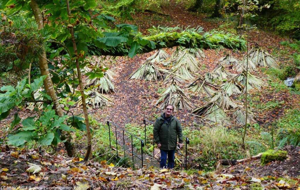 A white person down the valley slightly, looking back up at the camera. Above them is the large branch, a couple of metres long, covered in ferns.