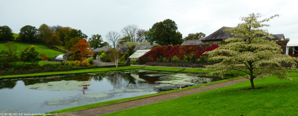 Garden overview with a large rectangle pond, with trees and foliage in various shades of autumn including reds and oranges.