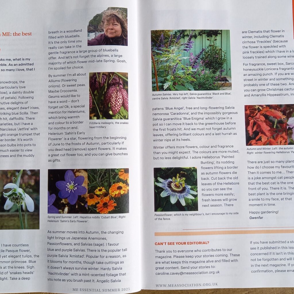 A photo of a two page article, Gardening with ME: the best plant