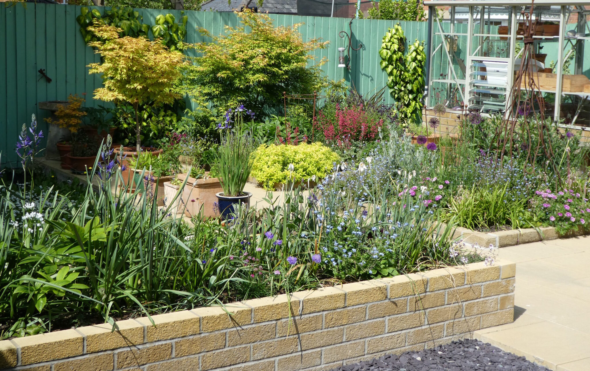 An overview of the garden with a mix of brick raised beds, some plants in pots, and a greenhouse. There are a mix of late Spring colours including, purple, blue and pink flowers, and lots of yellow-green leafy plants and trees.