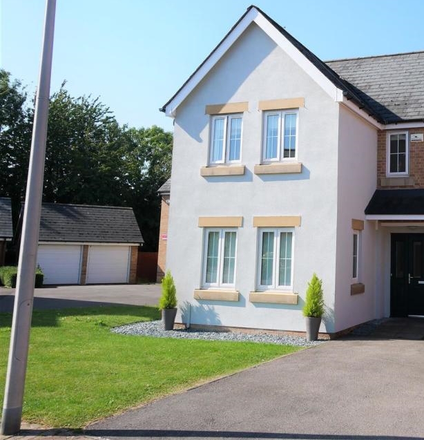 Front garden 3: Just driveway and lawn, with some plastic plants.