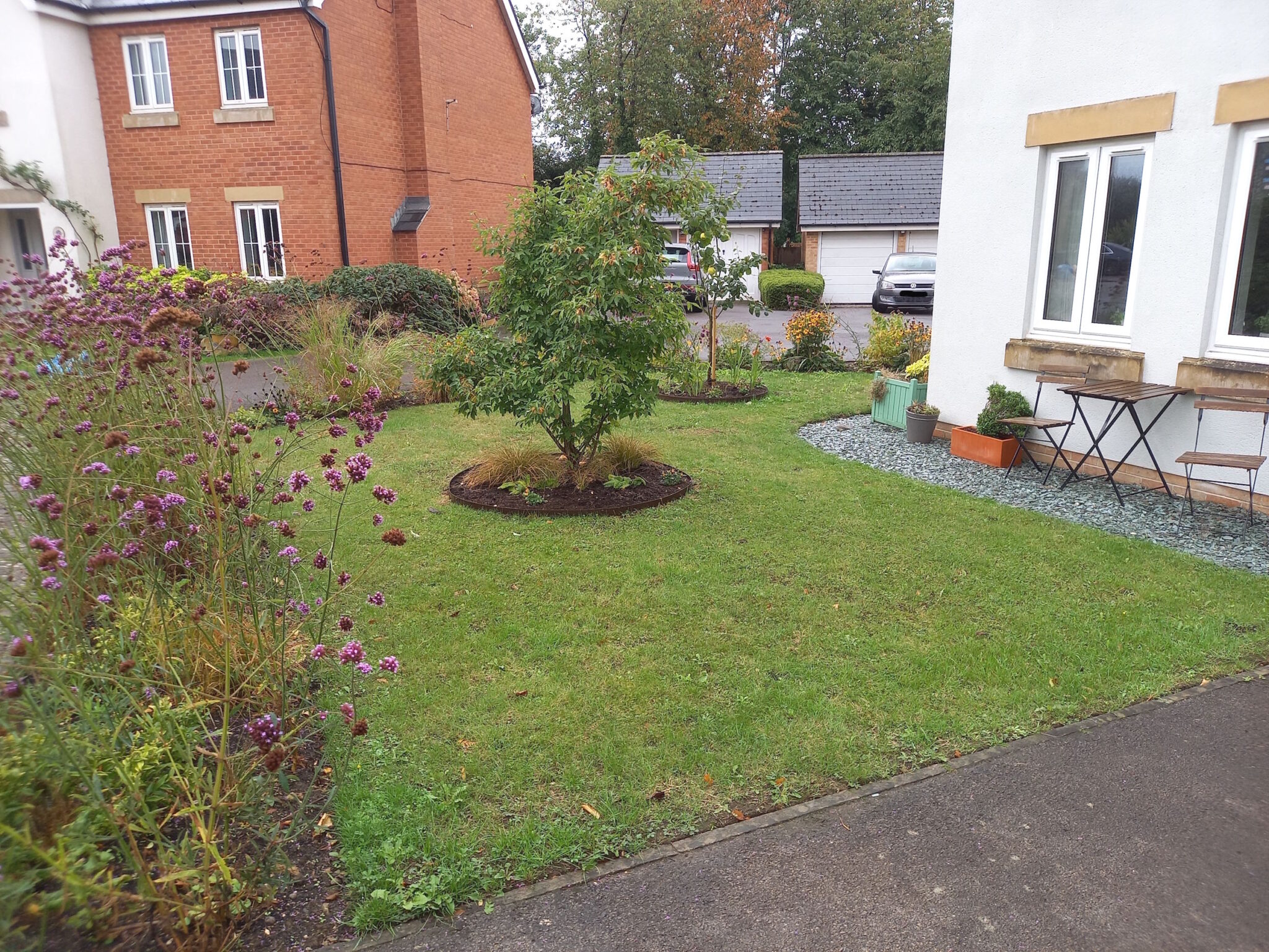 Front garden 3: c. three years later with a couple of trees in the middle of the lawn, and a long 19m border going around the outside with a mix of perennials and shrubs. There is a small table and chair on the edge next to the house.
