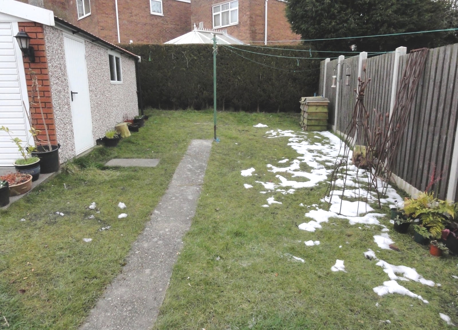 Garden one when we first moved in. Just grass and leylandii at the back.
