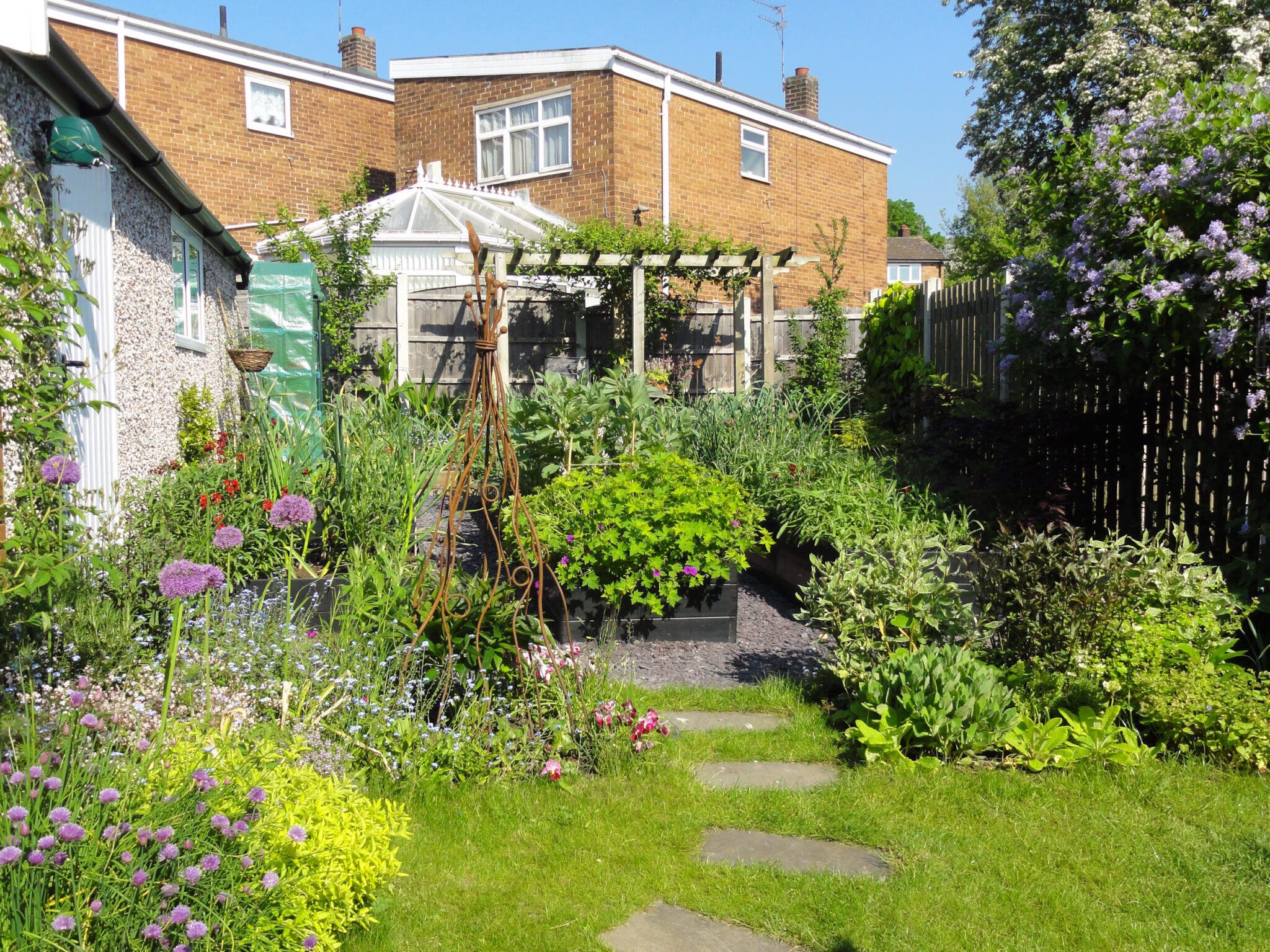 Garden one several years later with a mix of ornamental borders and raised beds for growing vegetables. There is a pergola at the back with a grape vine, having replaced the laylandii.