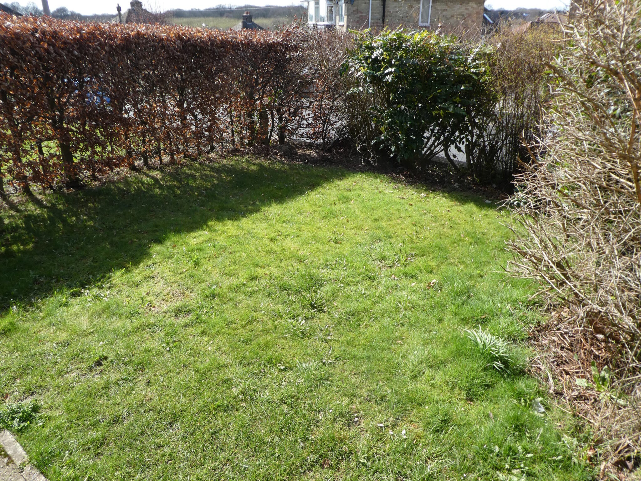 The front garden (garden 2) with just hedging three quarters around it, and grass.