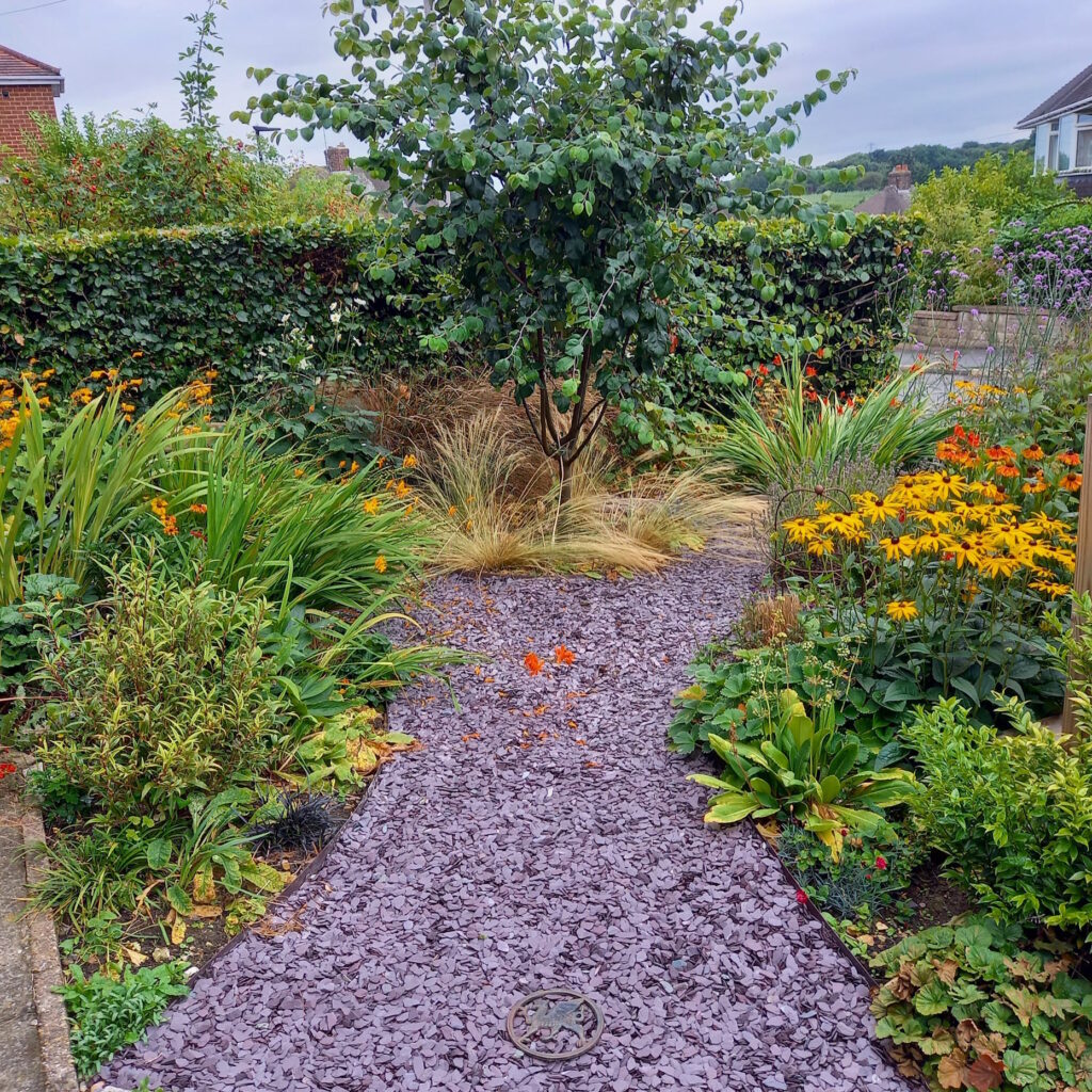 Front garden 2, several years later. Mixed borders with a quince tree in the middle. Lots of flowers of orange and yellow. It is brimming with pretty plants.